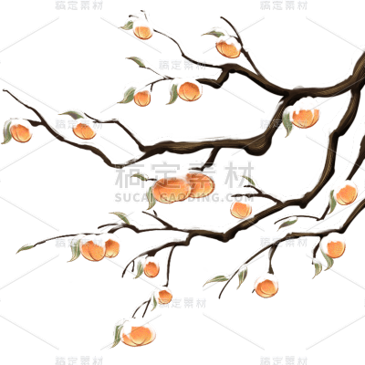 冬季冬日冬天传统节气霜降立秋立冬柿子元素素材