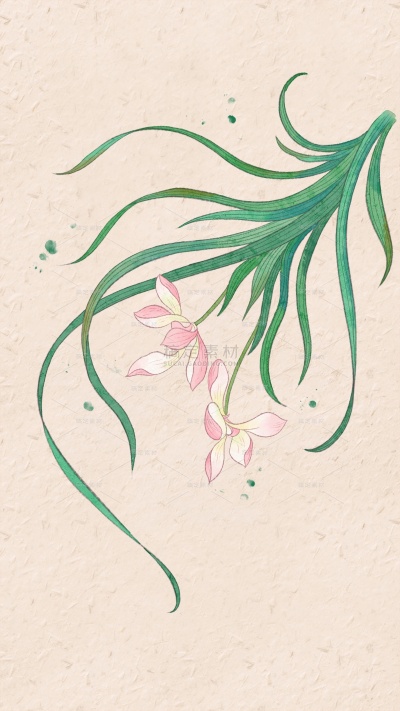 植物系列古风工笔画兰花宣纸图片