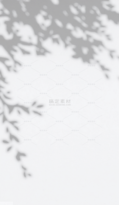 纹理系列写实感黑白植物树叶光影投影元素（td）