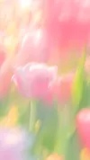花海风景