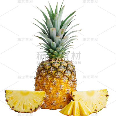 果蔬系列写实水果菠萝切片整果组合贴纸