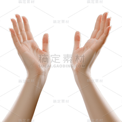手部静态贴纸