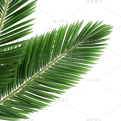 绿色植物叶子树叶装饰元素