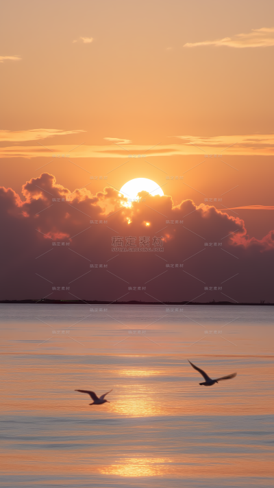 风光系列写实夕阳海面海鸥背景