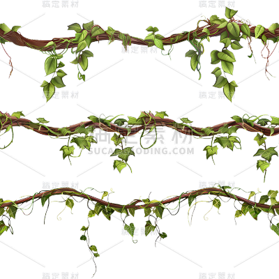 通用植物插画树藤树叶元素素材