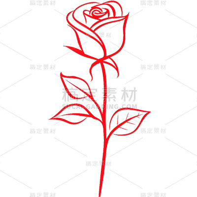 植物插画红色线条玫瑰花元素素材