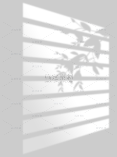 特效系列写实窗户+植物光影元素