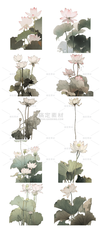 2309SC-素材组合-插画夏天夏季夏日荷花荷叶