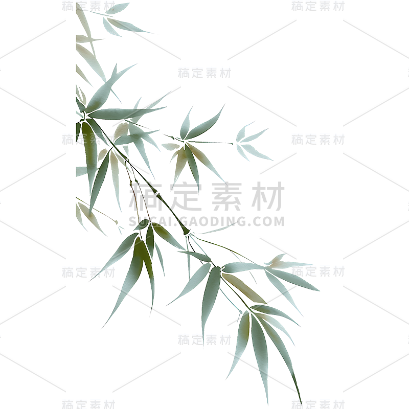 植物通用插画竹子元素素材