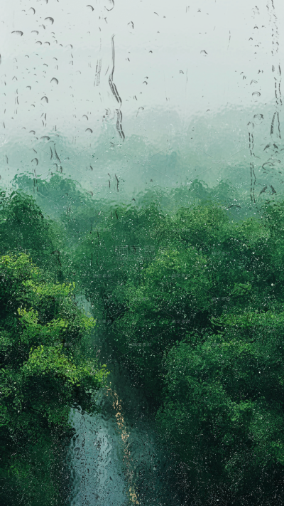 雨水肌理朦胧感植物场景背景