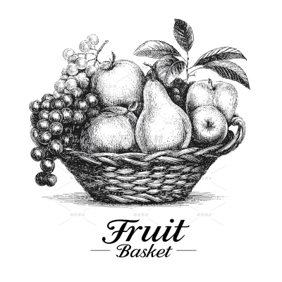 果蔬系列手绘风黑色藤编果篮插画线稿（td）