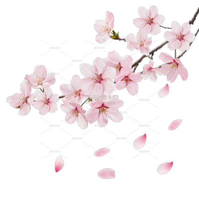 植物系列写实风樱花花枝边框元素