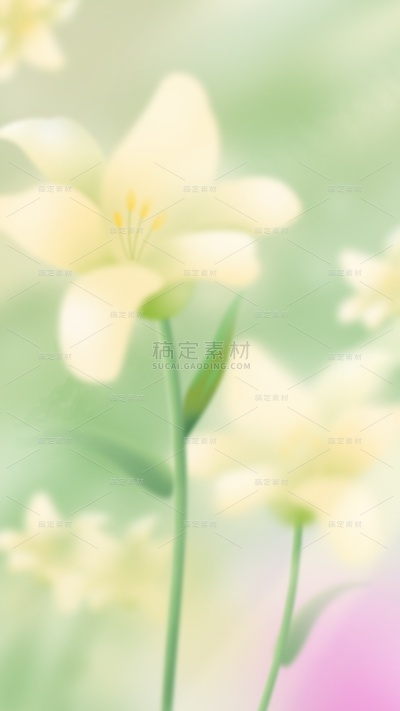 春分朦胧感模糊渐变光影花朵背景