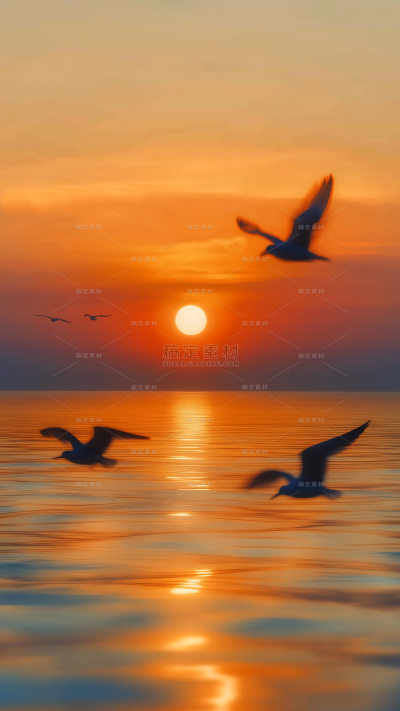 风光系列写实夕阳海面海鸥背景