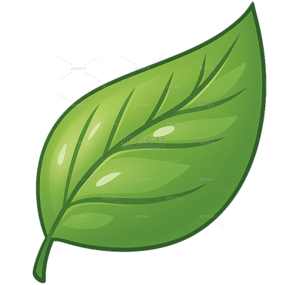 植物系列卡通风描边绿叶元素（td）