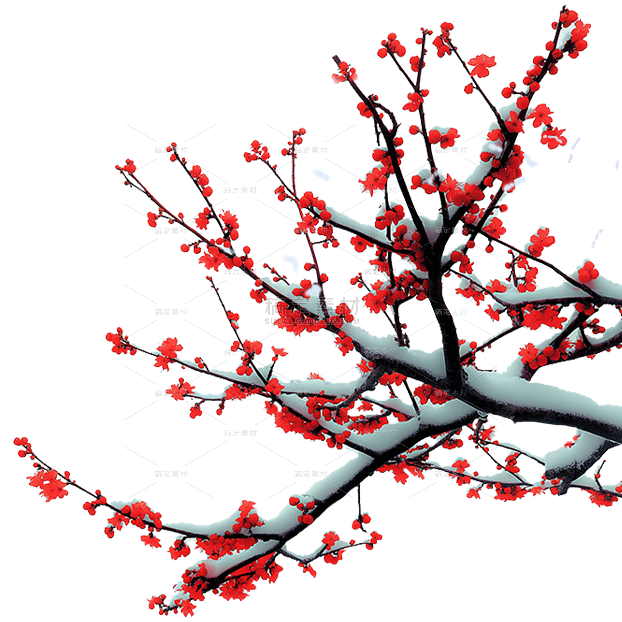 冬季节气积雪腊梅元素
