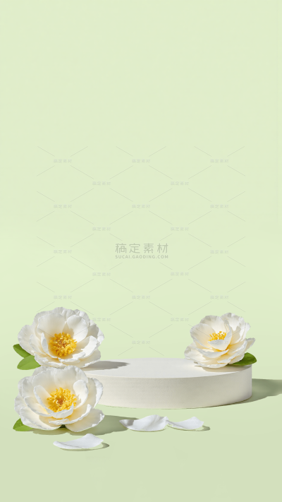 植物系列清新感山茶花光影展台