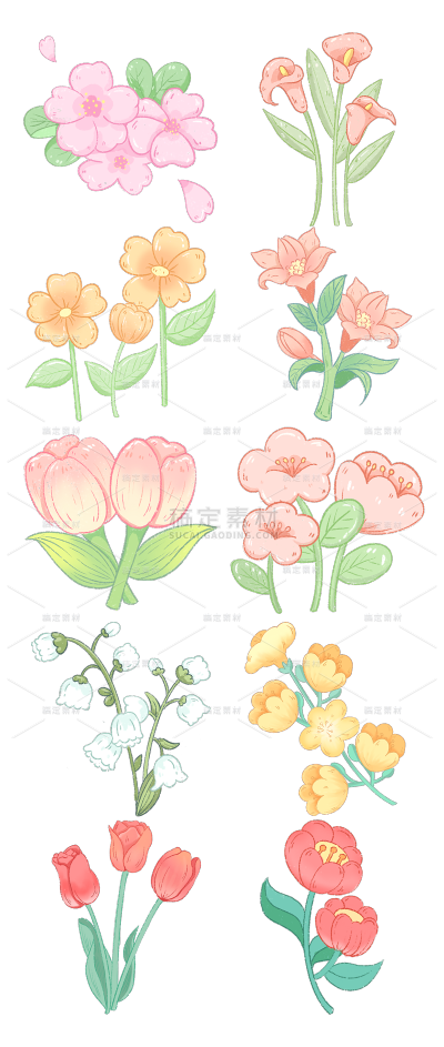 2309SC-素材组合-手绘可爱温馨插画花朵