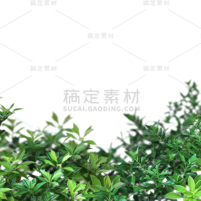 植树节实景绿植植物边框元素素材