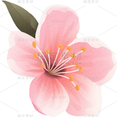 植物通用粉色插画桃花花朵元素素材