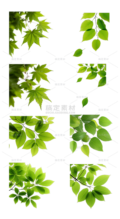 2309SC-素材组合-树叶贴纸-树上叶子