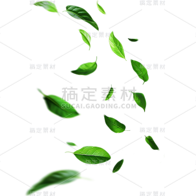 植物通用实景绿色动态落叶元素素材