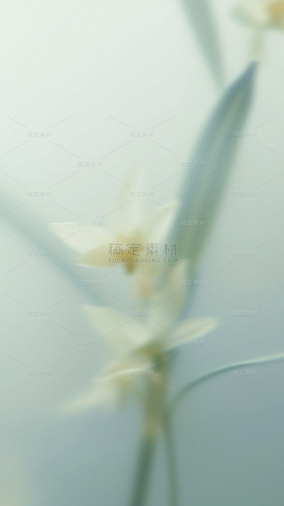 春天梦幻蒙版植物花卉背景元素素材