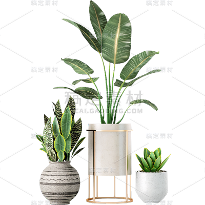 植物实景多个绿植盆栽元素素材