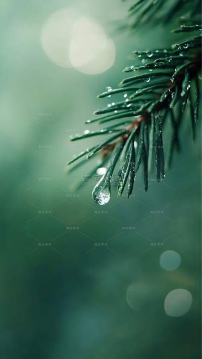 雨水实景感雨天氛围场景背景