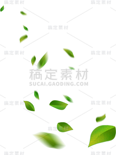 绿色落叶树叶绿叶贴纸
