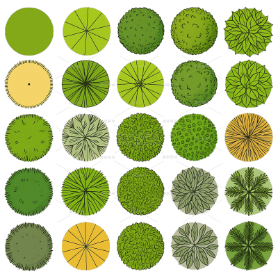 常规内容-植物系列卡通风叶片插画元素组合