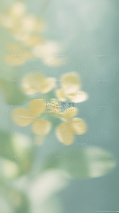 春天梦幻蒙版植物花卉背景元素素材