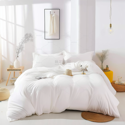 insMind Indoor Background Home