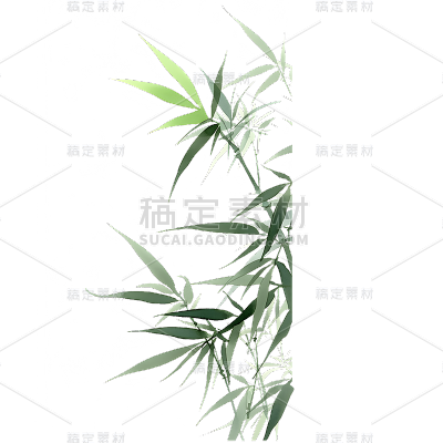 植物通用插画竹子元素素材