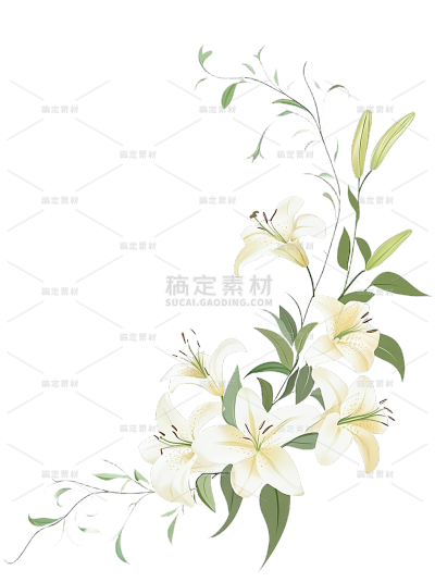 植物系列插画风花枝和花装饰元素