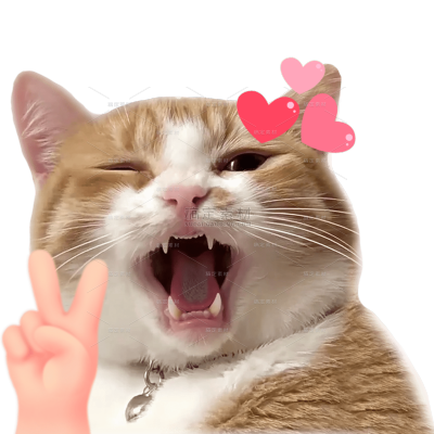 小红书meme搞怪爆款封面动物猫咪贴纸