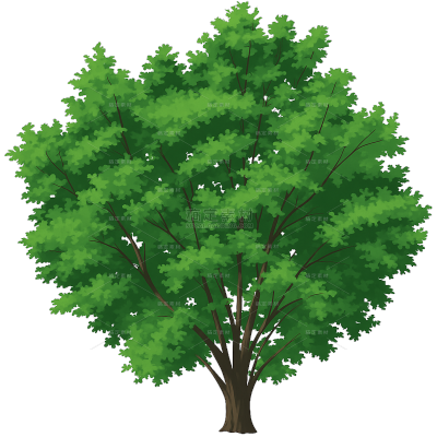 植物系列卡通茂盛大树插画元素（td）