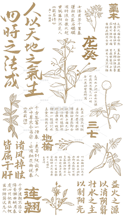 中国风系列插画风中医药植物文字底纹元素