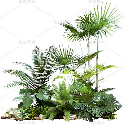 植物通用绿色实景景观绿植组合元素素材