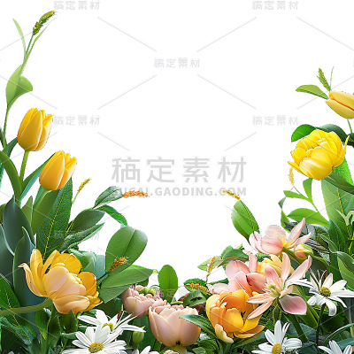 植物通用实景花朵边框元素素材