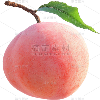 果蔬通用写实桃子水果贴纸