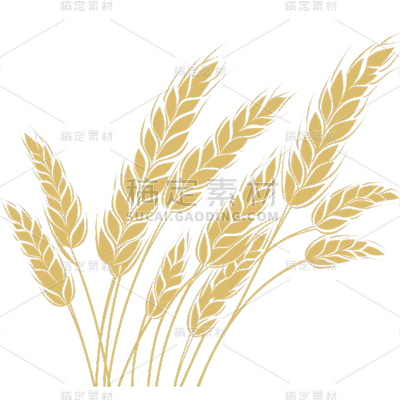 植物通用金色矢量麦穗元素素材