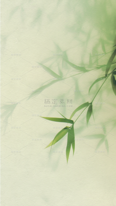 夏日中国风-竹子竹叶竹影模糊渐变背景图片