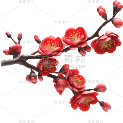 红色梅花花朵