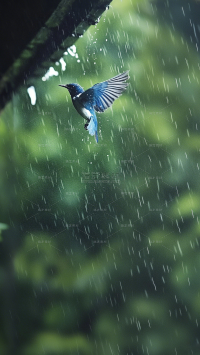 雨水实景感雨天氛围场景背景