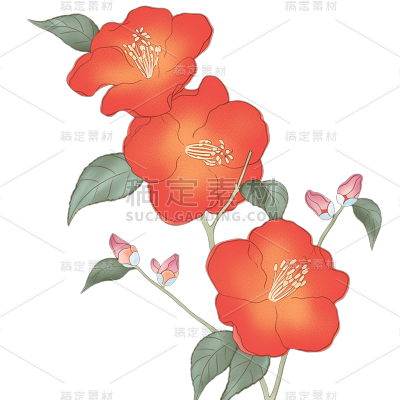 植物通用清新插画花朵元素素材