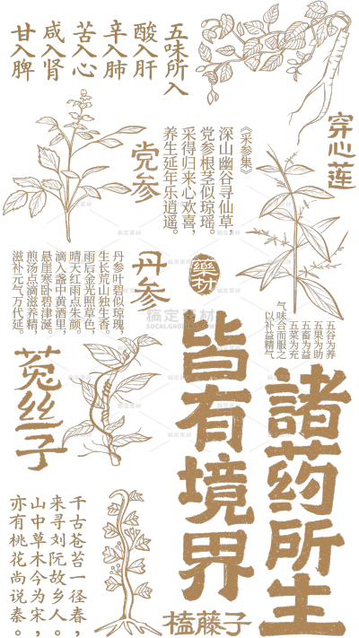 中国风系列插画风中医药植物文字底纹元素