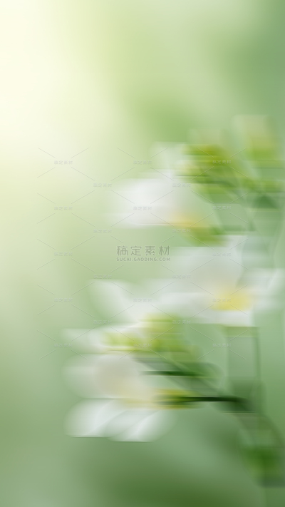 植物系列梦幻感植物背景