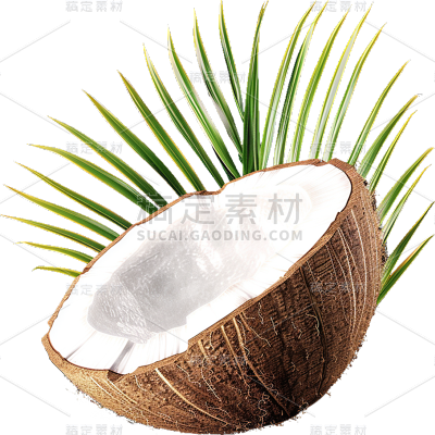 夏季果蔬通用实景打开椰子元素素材