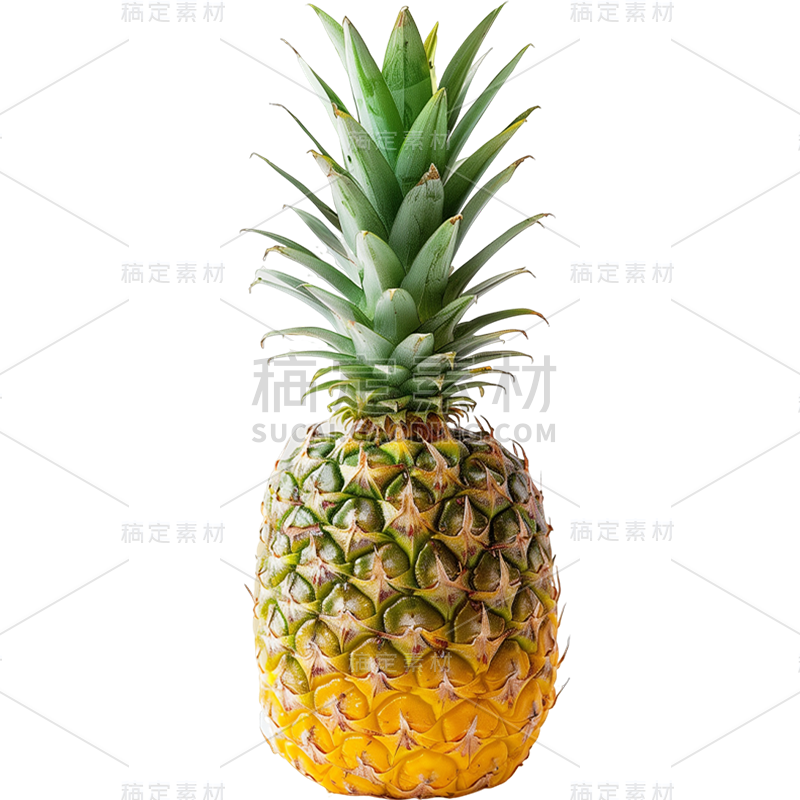 insMind Elements Accessories Fruits